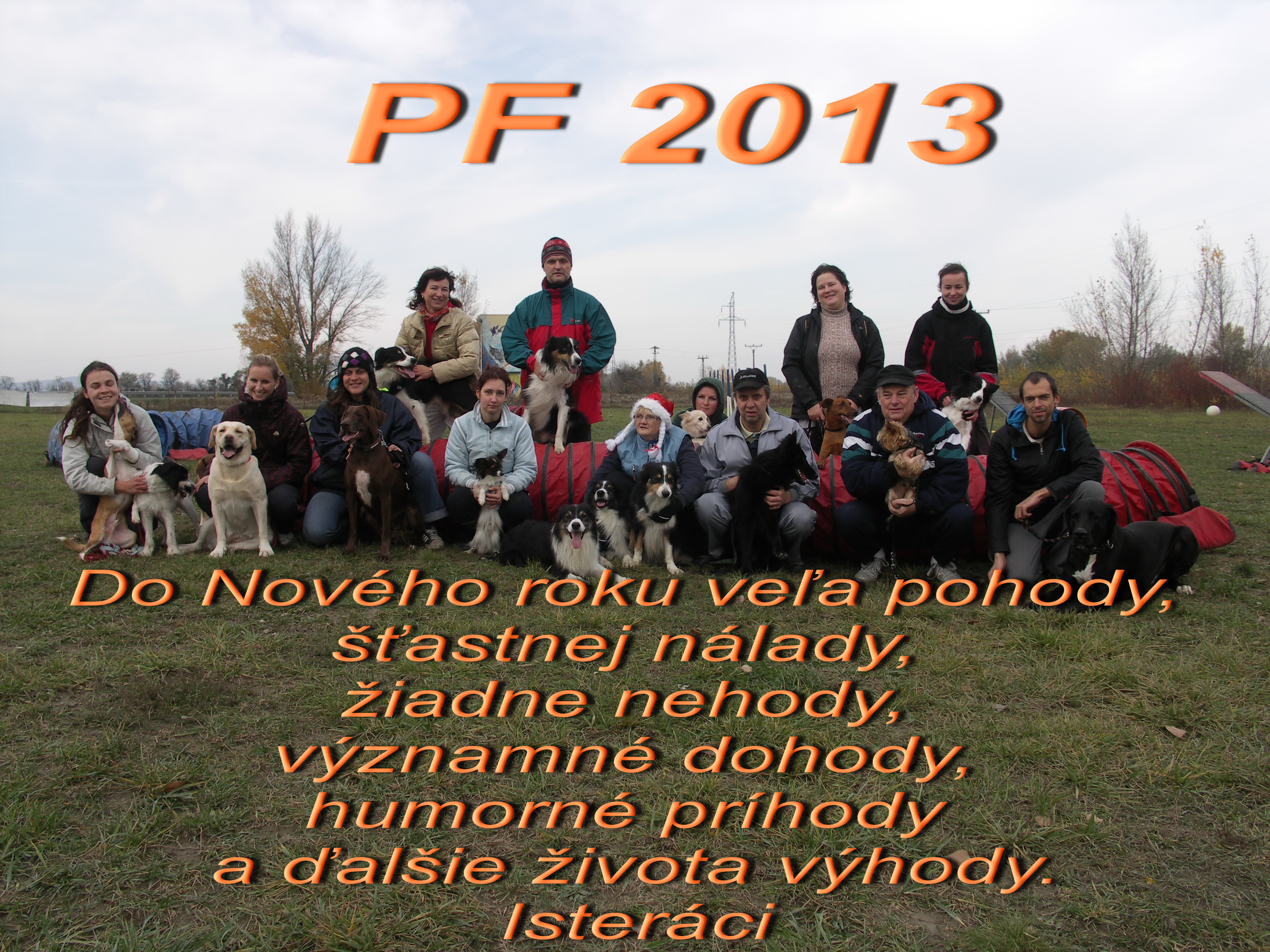 PF2013.jpg